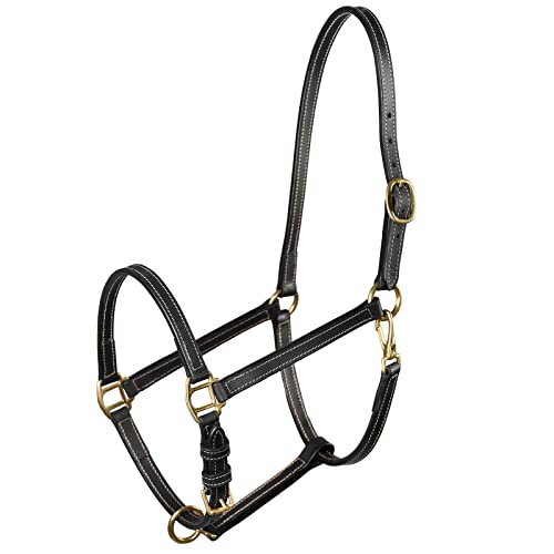 HORZE Fremont Soft Leather Horse Halter | Fully Adjustable with Brass Hardware & Contrast Stitching - Black - Cob