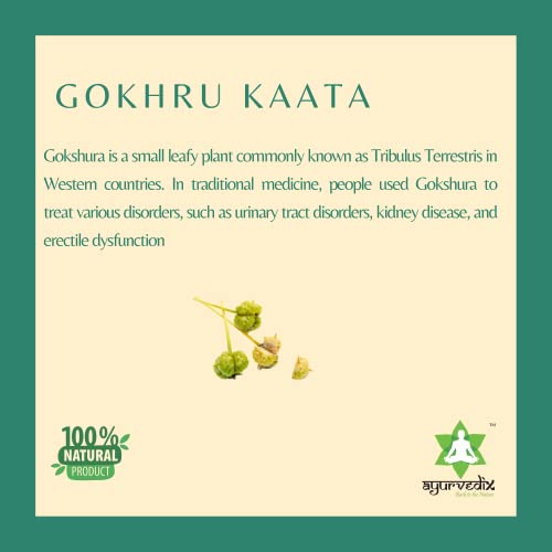 Image of Gokhru Ark 600 ml | Tribulus Terrestris (Gokshura) Hydrosol | Supports Energy, Stamina & Daily Wellness | Ayurvedic Herbal Tonic for Men & Women | FSSAI Certified