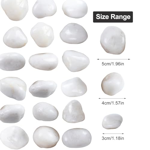 Image of 20Ib White River Rocks for Landscaping- High Polished Pebbles for Plants-Garden Decorative Stones-1-2 Large Plant Rocks,Ideal for Aquarium, Home Decor