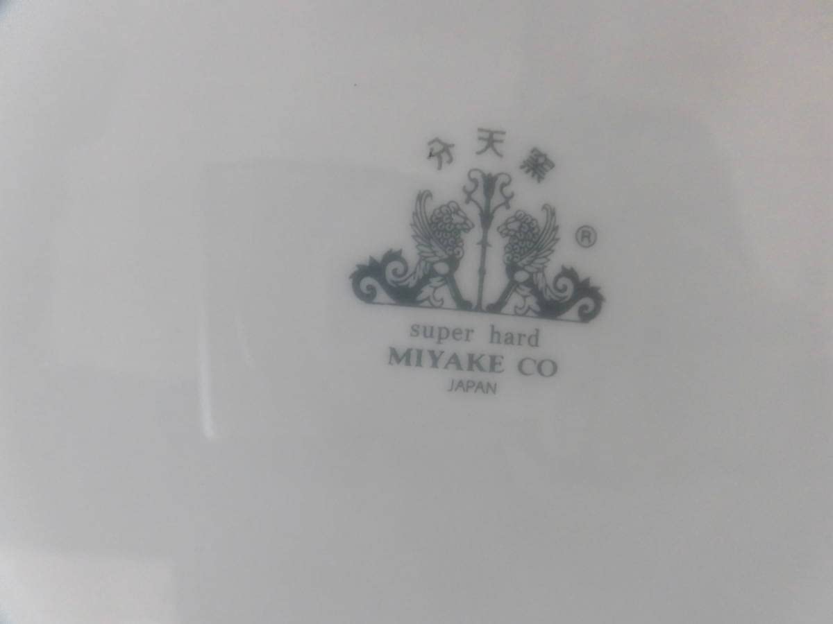 Amazon | SKE48オリジナルカレー皿 Bタイプ CoCo壱番屋当選品3rd