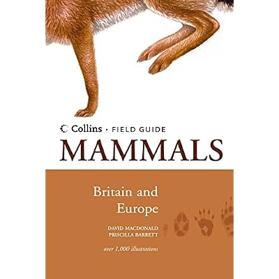 Mammals of Britain and Europe