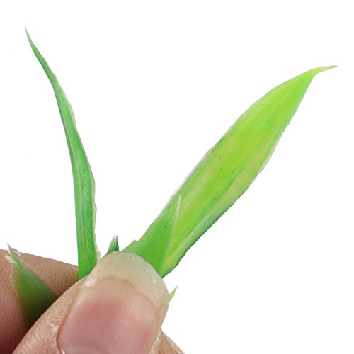 Sourcingmap - Piante acquatiche per acquario, in