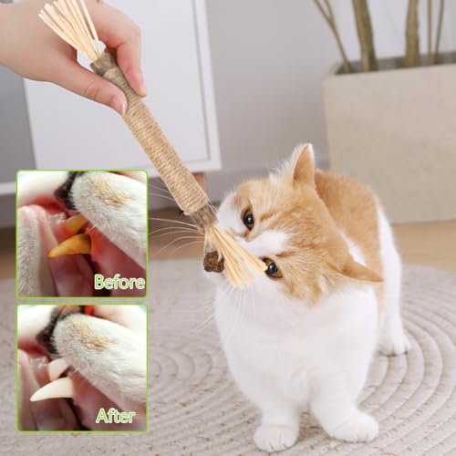 OSDUE Katzenminze Sticks, 21 Stück Matatabi Kausticks mit Ball Katzenminze Spielzeug Katzen Kauhölzer Sticks für Katzen Zahnpflege & Gegen Mundgeruch Natürlich Sicher Katzensticks Kausticks Set