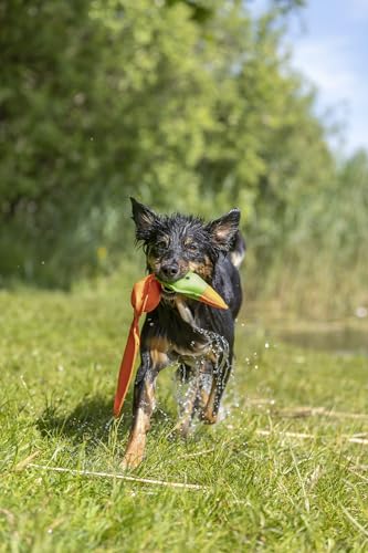 TRIXIE Ente Hundespielzeug - mit Stimme - Schwimmt komplett auf der Wasseroberfläche - 50 cm lang - orange/grün - 36207