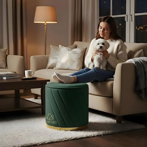 Image of Premium Velvet Ottoman Stool | Modern Round Pouffe with Gold Base | Multipurpose Seating | Living Room & Bedroom Decor (Green Set of 2)