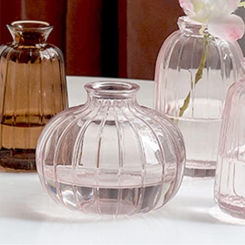 Vase en verre ornement rétro transparent pour art floral de salon
