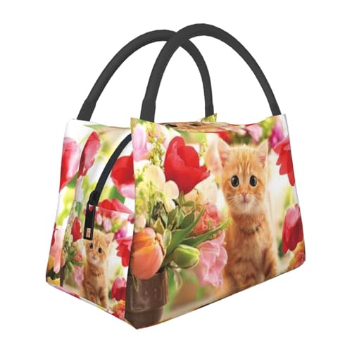 �L�� �����`�o�b�O �ٓ��� ��e�� �y�� �ۗ� �ۉ� ���� �ʋ� �ʊw �܂肽���� ��l�p �j���p �����p �q���p