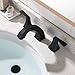 PARLOS 2-Handle Widespread Bathroom Faucet with Pop Up Drain and cUPC Faucet Supply Lines, Matte Black, Doris