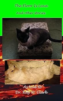 Paperback The Floor Is Lava Book