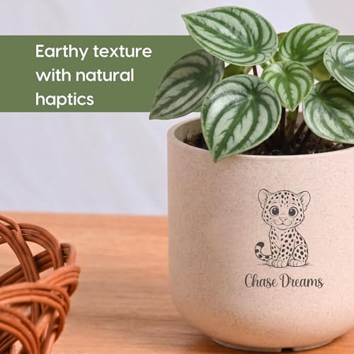 Image of Eha Earth-Friendly Printed Small Terrapod Planters for Home Decor | 3.5 Inch, Pack of 3 | Plant Gifts Made with Rice Husk Biocomposite | Flower Pot for Living Room| Sand Castle