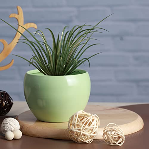 Image of Metal Planter Pot for Indoor Plants & Flowers Table Top Planter for Living Room, Home Decor Decorative Pots for Indoor Plants Rust Free Metal Planter for Balcony and Garden Decor (Aqua)