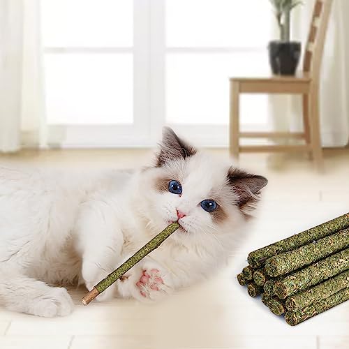 OSDUE 12 Stück Katzenminze Sticks, Matatabi-Kausticks, Katzenminze Spielzeug Katzen Kauhölzer Sticks für Katzen Zahnpflege & Gegen Mundgeruch Natürlich Sicher Katzensticks Kausticks Set