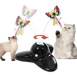 Vealind Interaktives Katzenspielzeug für den Innenbereich, mit 360 ° drehbarem Schmetterling (Black)