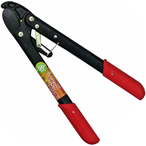 ߗ^(KONYO) GARDEN FRIENDS 邪鑾} `Fbg yʌ^(d/485g) S/420mm RBS-420