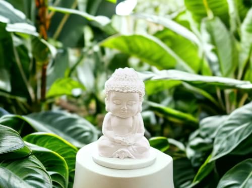 Image of Vanli Miniature Buddha Idol /Statue /Showpiece for Home, Car & Office Decor (Combo of Both)