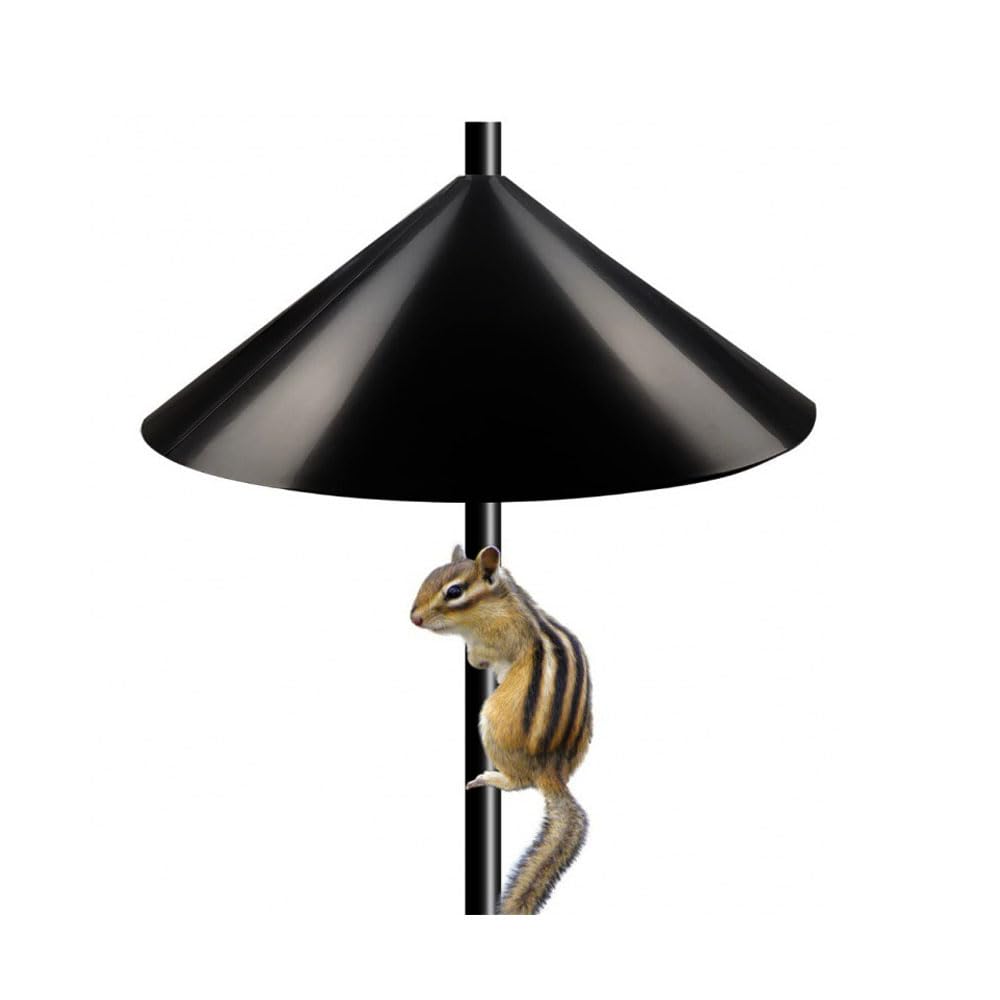 De Eekhoorn Beschermende Baffle Vogel Feeder Wrapa