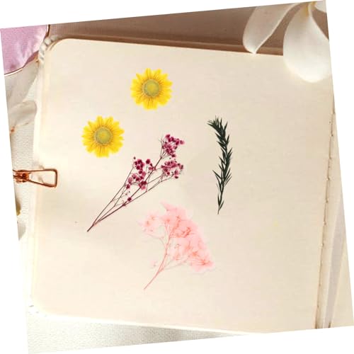 Holibanna 1 Buquê De Flores Secas Porta-retratos Molduras Decoração Presentes O Presente Acessórios