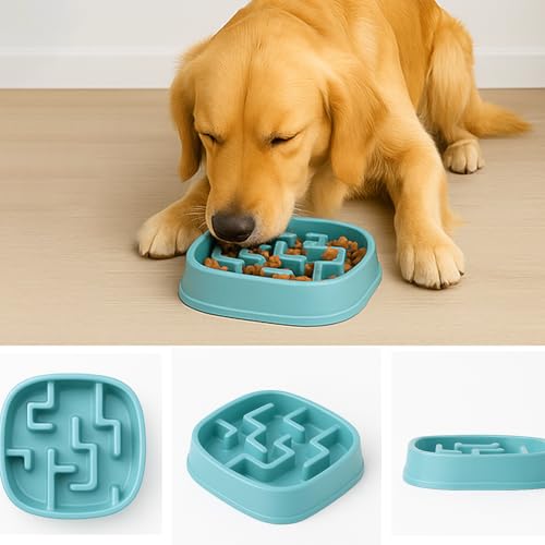 Image of Slow Feeder Bowl | Square Maze Food Bowl for Dogs and Cats | Anti Choking Puzzle Bowl | Anti Slip Interactive Feeding Dish | Durable & Easy to Clean | Anti Bloat and Aids Digestion (Blue)