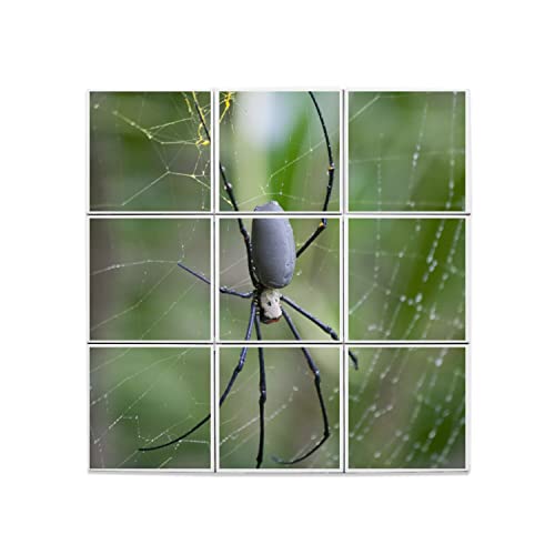 Grosse Araignée Céramique Décorative pour Personnaliser un Mur Terne
