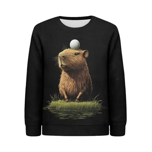 HUIACONG Girls Sweatshirt Kids Children Sweater for Boys