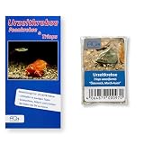 AQ4Aquaristik Triops cancriformis (March-Auen, Österreich) - ca. 100 Urzeitkrebse Eier - mit Anleitung
