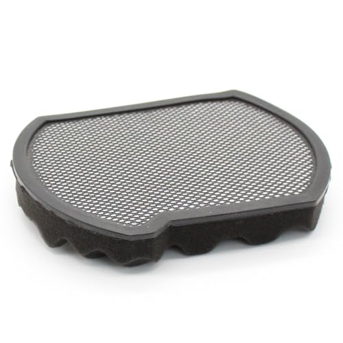 Premium Filtro Protezione Motore Compatibile con Bosch BGS412234A, BGS41FAM, BGS41HYG1, BGS41K332, BGS41K432, BGS41MPOW - Filtro Contenitore Polvere - Lavabile - Accessori, ricambi