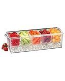 Prodyne AB-6 On-Ice Condiment, 1-Pack, Clear