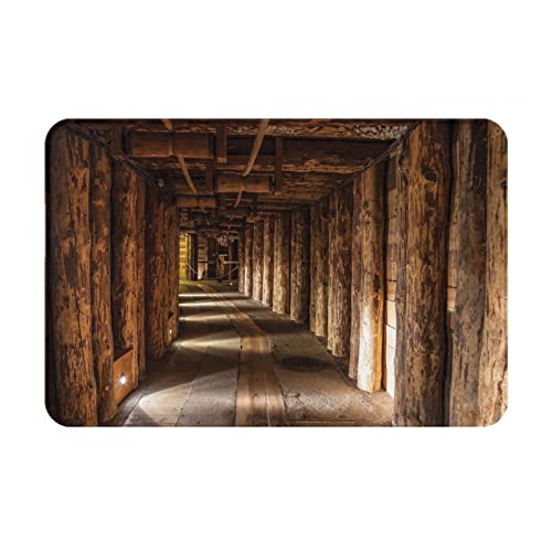 Vucemi Salt Mine Printed Doormat Outdoor Indoor Rugs Durable Door Mats Absorben Rubber Backing Non-Slip Welcome Mat - 16X24In #TOP19
