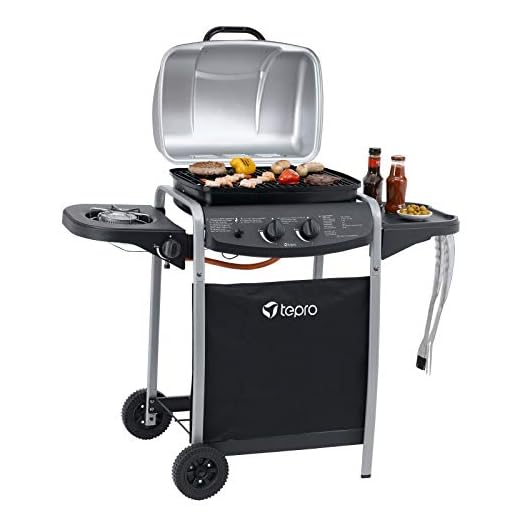 tepro Gasgrill Fremont – 1 Doppelbrenner + Seitenbrenner, 7 kW Gesamtleistung, Rost-in-Rost-System, Grillrost 45x34 cm, Piezo-Zündung, klappbare Ablage, inkl. Regler & Schlauch – 112x52x96,5 cm
