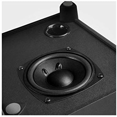 Close-up view of the subwoofer driver