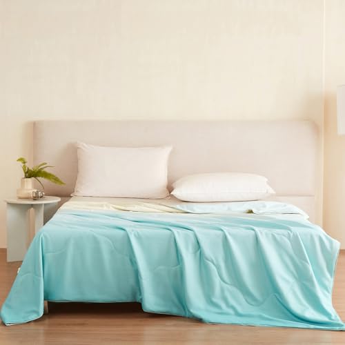 Image of THXSILK Ombre Silk Comforter, 100% Natural Mulberry Silk Filling, Gradient Bed Blanket, All-Season Machine Washable, Luxury Decorative Comforter for Bedroom /Home(Mint Green, 90 inchx90 inch)