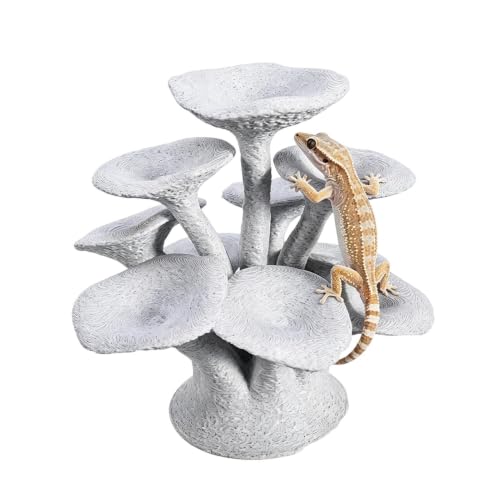 Plataforma de salto para reptiles camaleón tarántula araña y hábitat tanque 2
