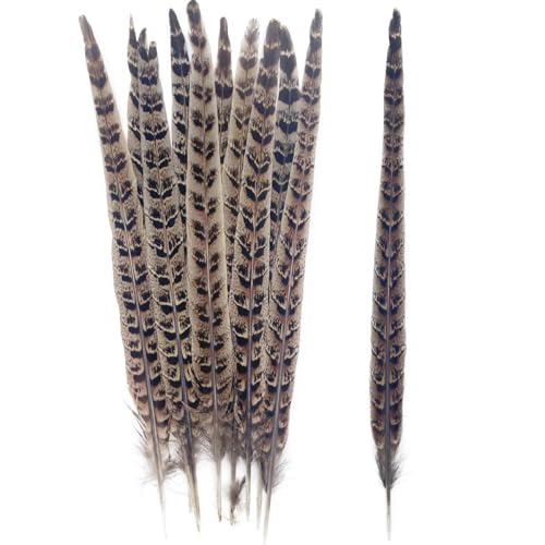 10pcs Natural Patterned Pheasant Tail Feathers 10"-12" Bohemian Decorative Feathers for Wedding Bouquets Decor Millinery Costumes Fly Tying Craft