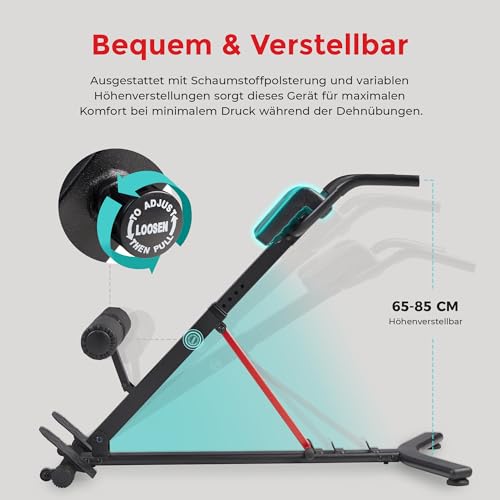 Sunny Health & Fitness Klappbarer Roman Chair Rückentrainer Hyperextensionsstuhl, multifunktionales Trainingsgerät, Heimfitness-Sit-Up-Bank für Gesäß- und Bauchmuskeltraining - SF-BH620062