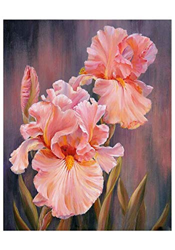 SUBERY DIY Oil Painting Paint by Numbers Kits for Adults Kids Beginner - Beautiful Pink Flower 16x20 inches (Frameless) Using Eye Care Color Canvas