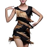 Zanisouta Disfraz de carnaval para mujer, disfraz de carnaval con lentejuelas, vestido sexy con flecos, vestido de fiesta de los años 20, vestido de cóctel, vintage, tangos, carnaval chacha, vestido
