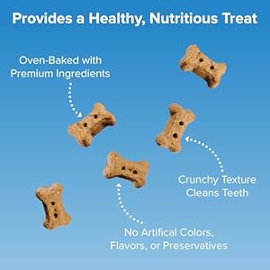 Blue seal kent entrust crunchers mini dog treats original recipe crunchy oven baked biscuits with premium ingredients healthy snack ideal for training made in usa 2 pound bag  urban country home decor