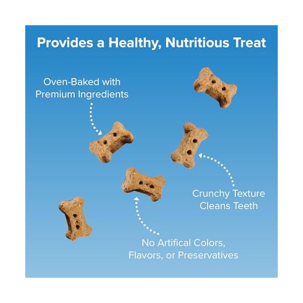 Blue seal kent entrust crunchers mini dog treats original recipe crunchy oven baked biscuits with premium ingredients healthy snack ideal for training made in usa 2 pound bag  urban country home decor