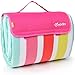 yodo Extra Large Outdoor Picnic Blanket Tote with Waterproof Backing 79' x 79',Spring Summer Rose Stripe