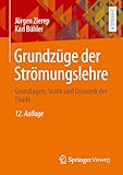 Grundzüge der Strömungslehre: Grundlagen, Statik und Dynamik der Fluide