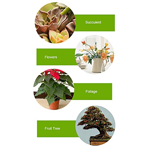 Crescer Luz, Plantas Crescer Luz, Plantas de Jardim Luz, para Vasos de Plantas Jardins Interiores