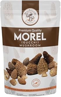Mushroom Essence Morel Mushroom Dried Wild Harvested Delicacy | Gucchi Mushroom Jumbo Size| 25 gm Pack of 1