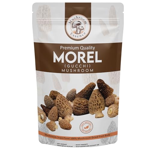 Mushroom Essence Morel Mushroom Dried Wild Harvested Delicacy | Gucchi Mushroom Jumbo Size Tail Cut | 25 gm Pack of 1