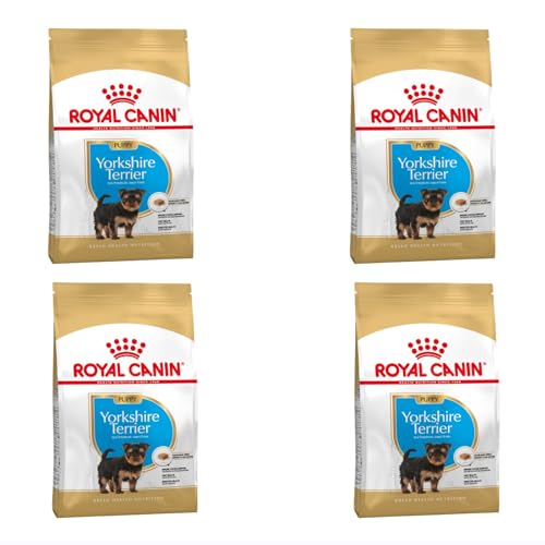 ROYAL CANIN Yorkshire Terrier Puppy Trockenfutter | Speziell für Yorkshire Terrier Welpen bis zum 10. Monat | Unterstützung der körpereigenen Abwehrkräfte | 4er Pack | 4 x 500 g