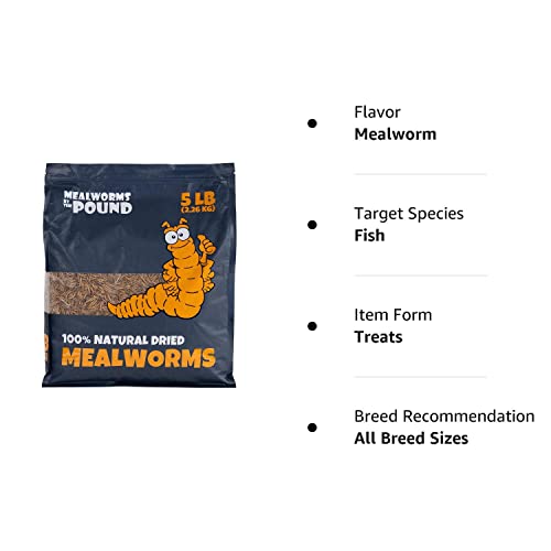 MBTP Bulk Dried Mealworms - Treats for Chickens & Wild Birds (5 Lbs) - Image 6