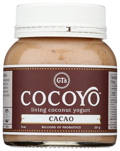 GTS LIVING FOODS Organic Cacao Coconut Yogurt, 8 OZ
