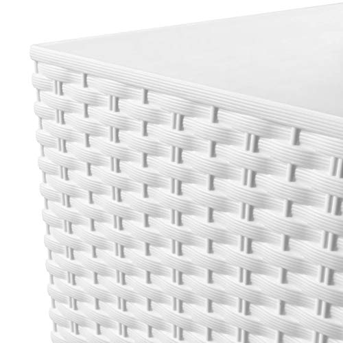 Miniatura 6 de Maceta Prosperplast, Blanca, 36x6, 5x36 Cm, Drts400-S449
