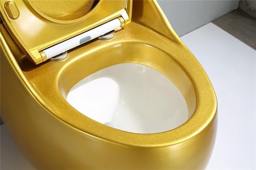 Inodoro One Piece Doble Descarga con Asiento de Cierre Suave, Altura Universal Moderna para Confort, Inodoro Cerámico Sifónico Dorado Silencioso para Baño en Casa y Hotel, A-66x43x55cm miniatura 6