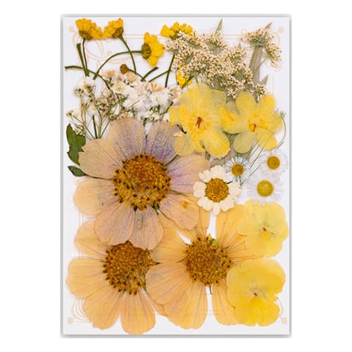 VRԃhCt[G|LVhCԂƗtZbgΌWG[쐬XNbvubLOhCt[RNV