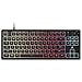 Corsair K55 Core TKL RGB-Gaming-Tastatur, Tenkeyless, 8 RGB-Zonen, leise, Membrantasten, auslaufsicher, Multimedia-Steuerung, 1000 Hz Sonde, ES Design, Schwarz